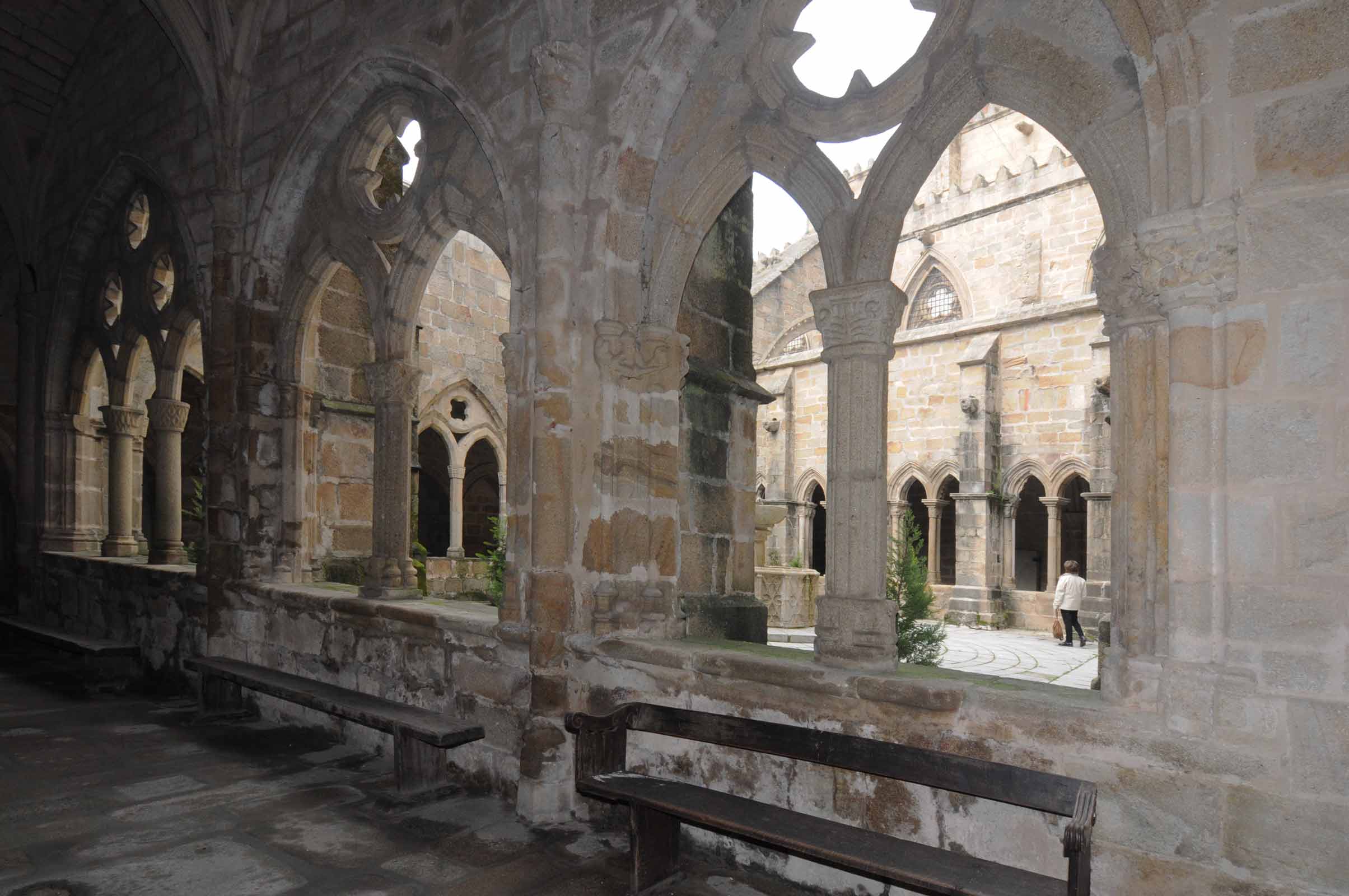 Tramo sur del Claustro, vista del patio